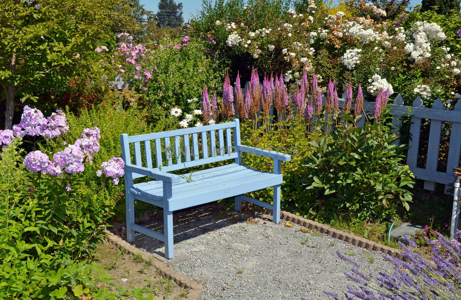 Blue wooden garden bench in summer garden