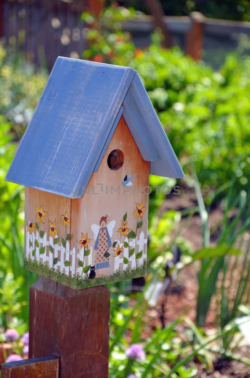 Decorated birdhouse in summer garden