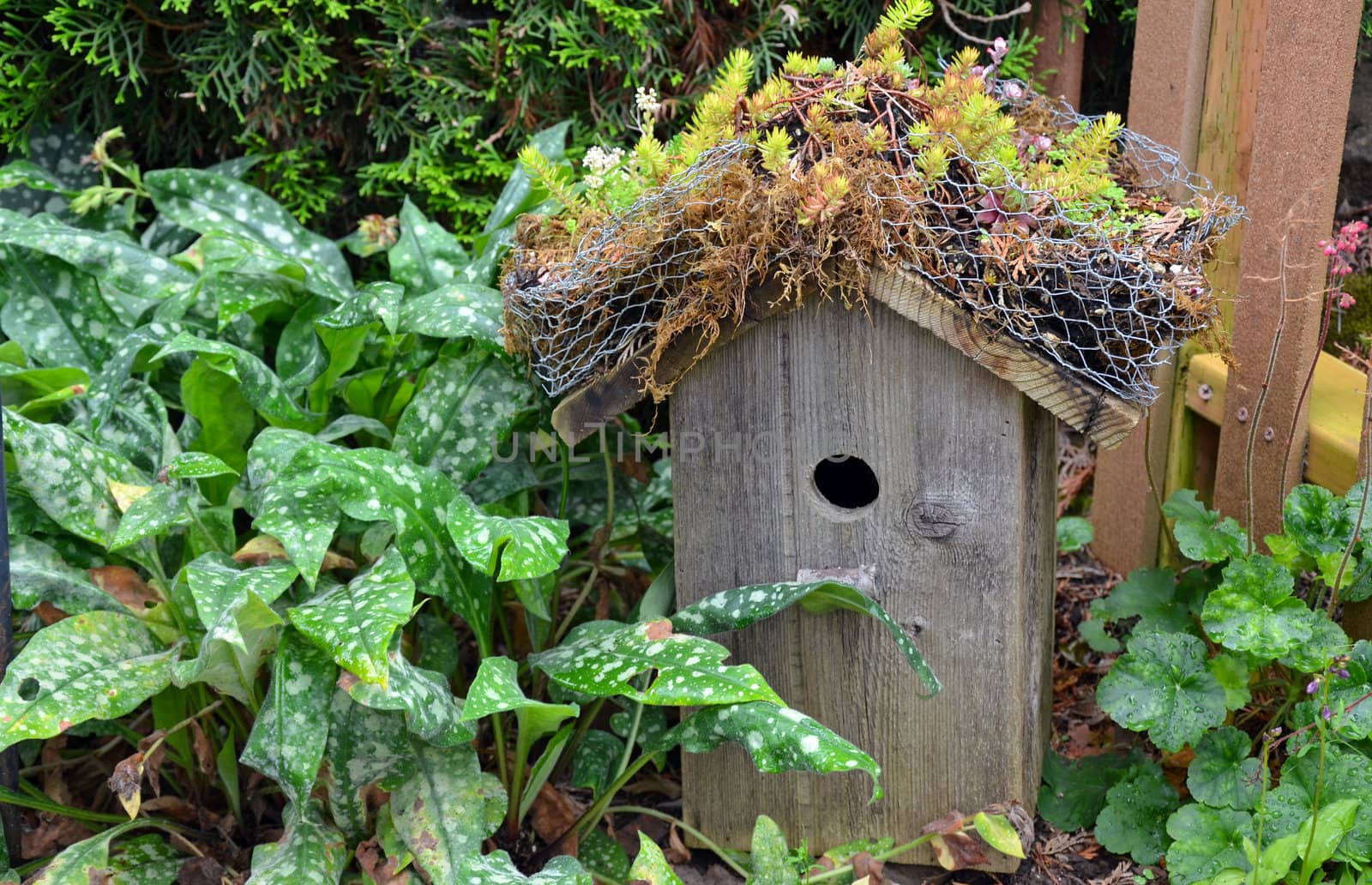 Little wooden birdhouse in the garden
