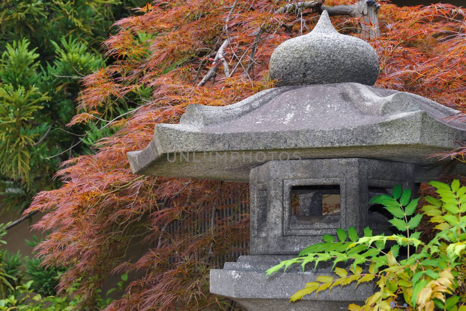 detailed image of Japanese stone lantern in zen garden with red maple tree on backward - focus on lantern