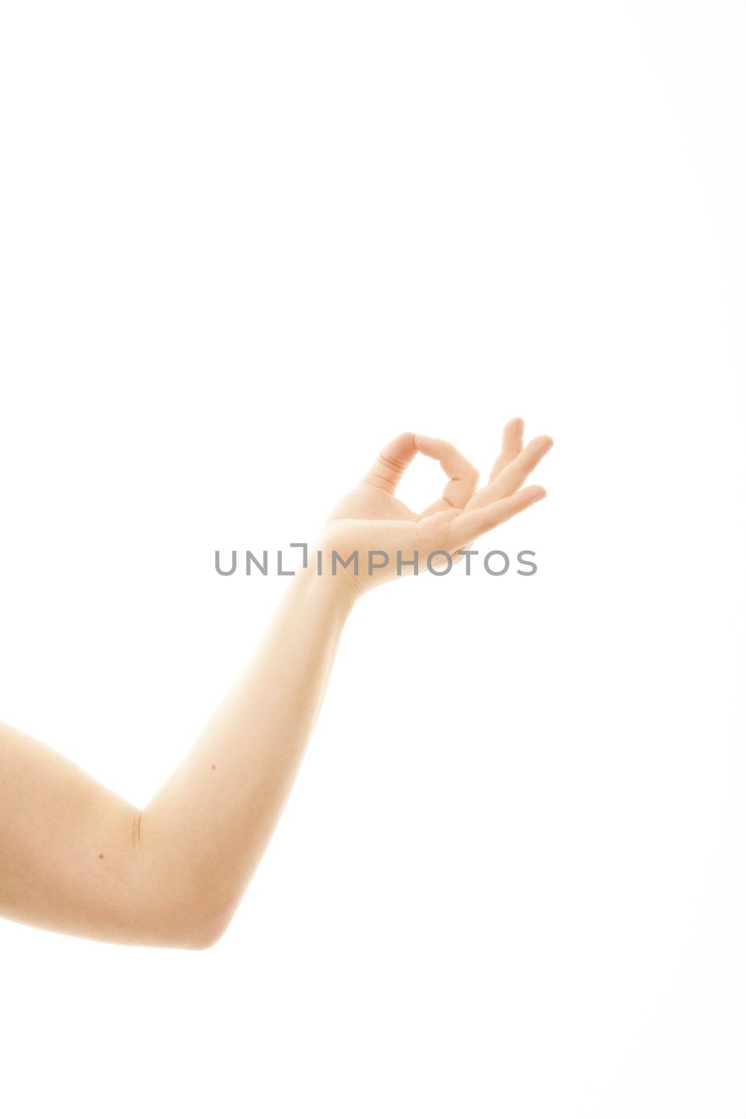 Beautiful woman hands  isolated on white background.