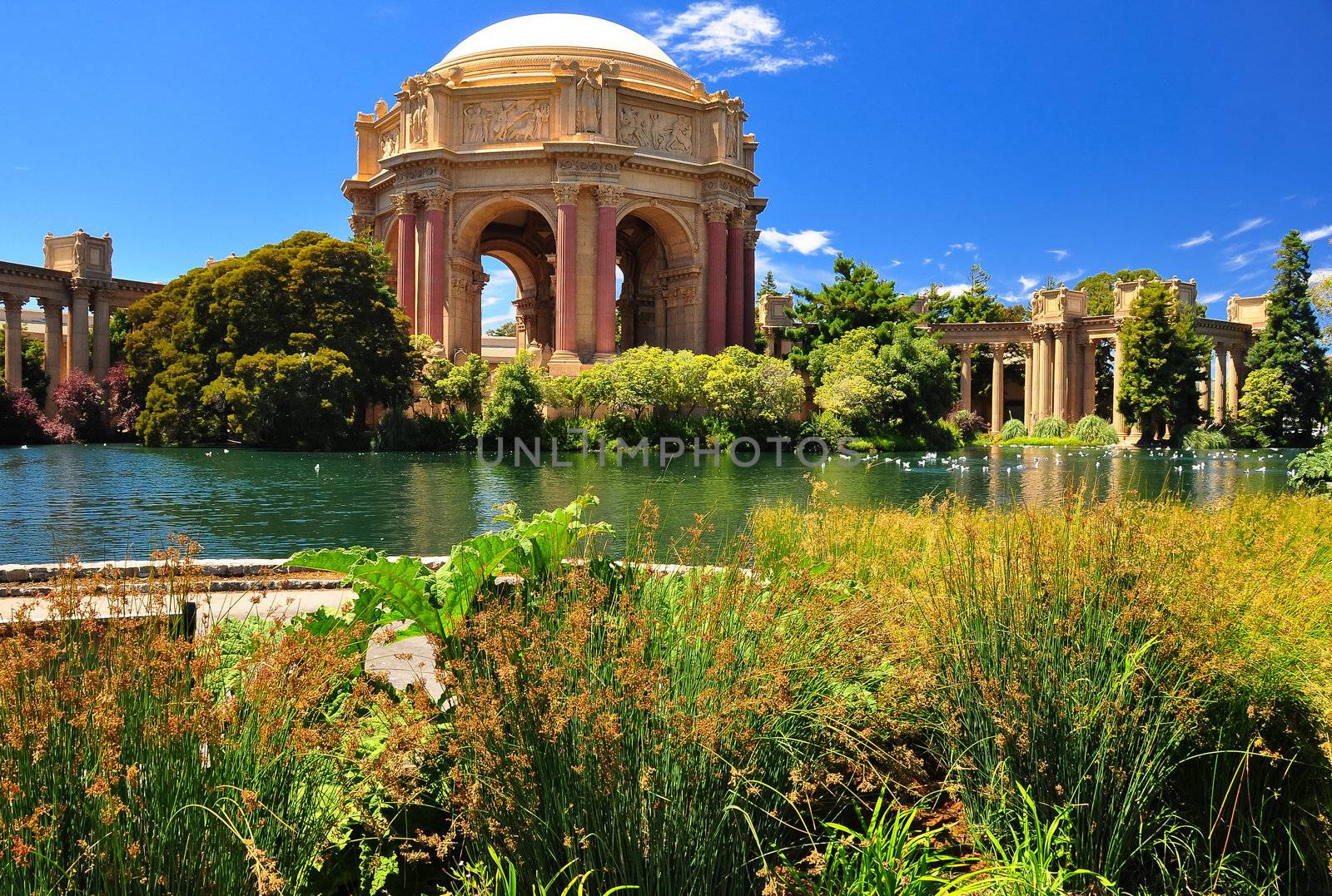 San Francisco park Palace of Fine Arts, California, USA