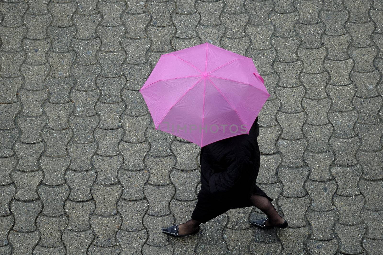 The Pink Umbrella by Bateleur
