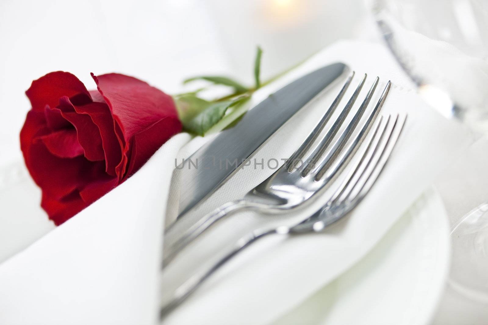 Romantic dinner setting by elenathewise