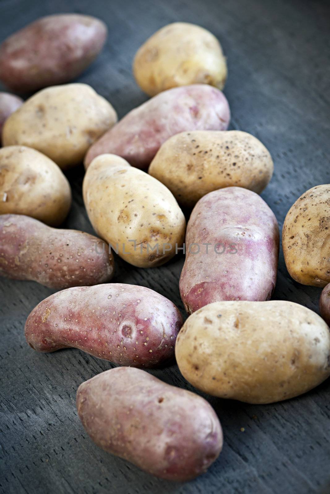 Several fresh red and white raw potatoes