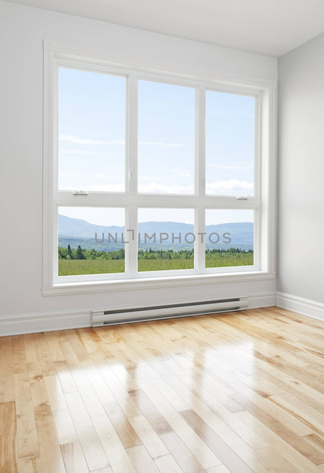 Summer landscape seen through the big window of an empty room.