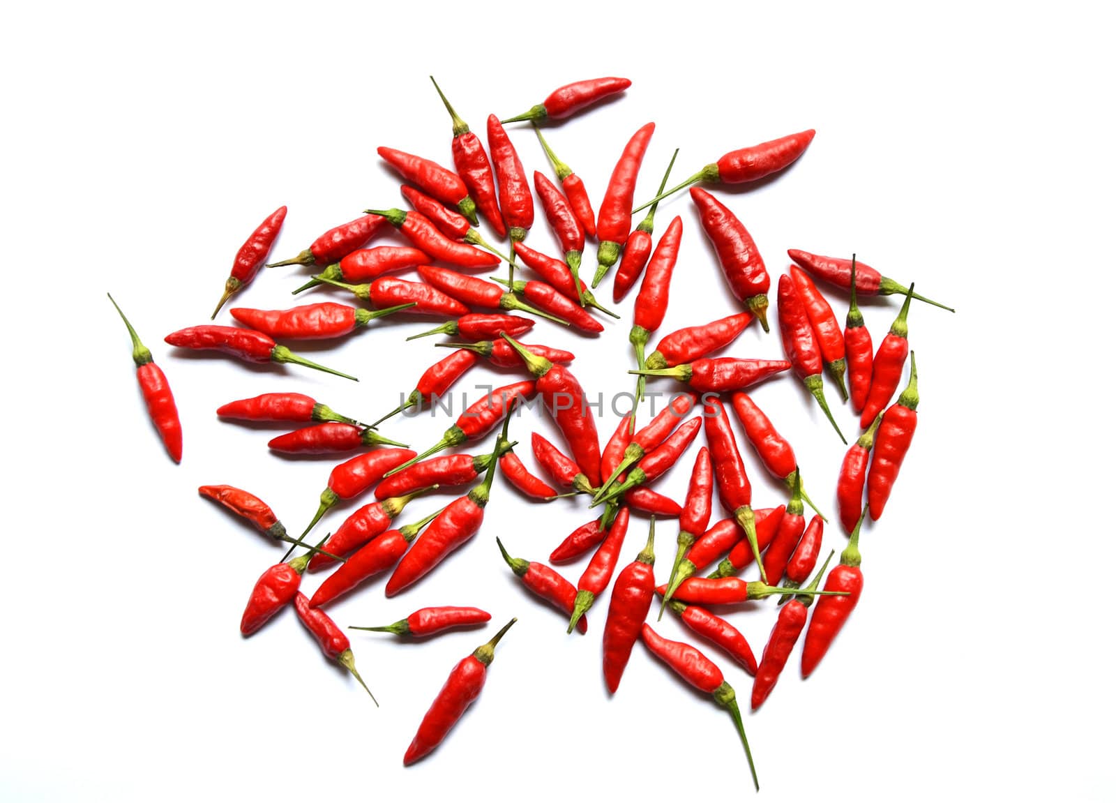 Many of red hot chili pepper on white background