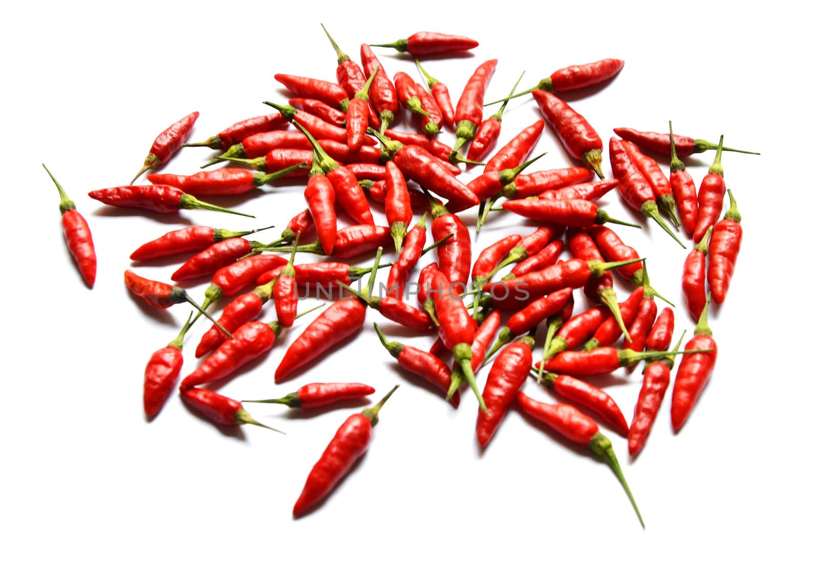 Many of red hot chili pepper on white background