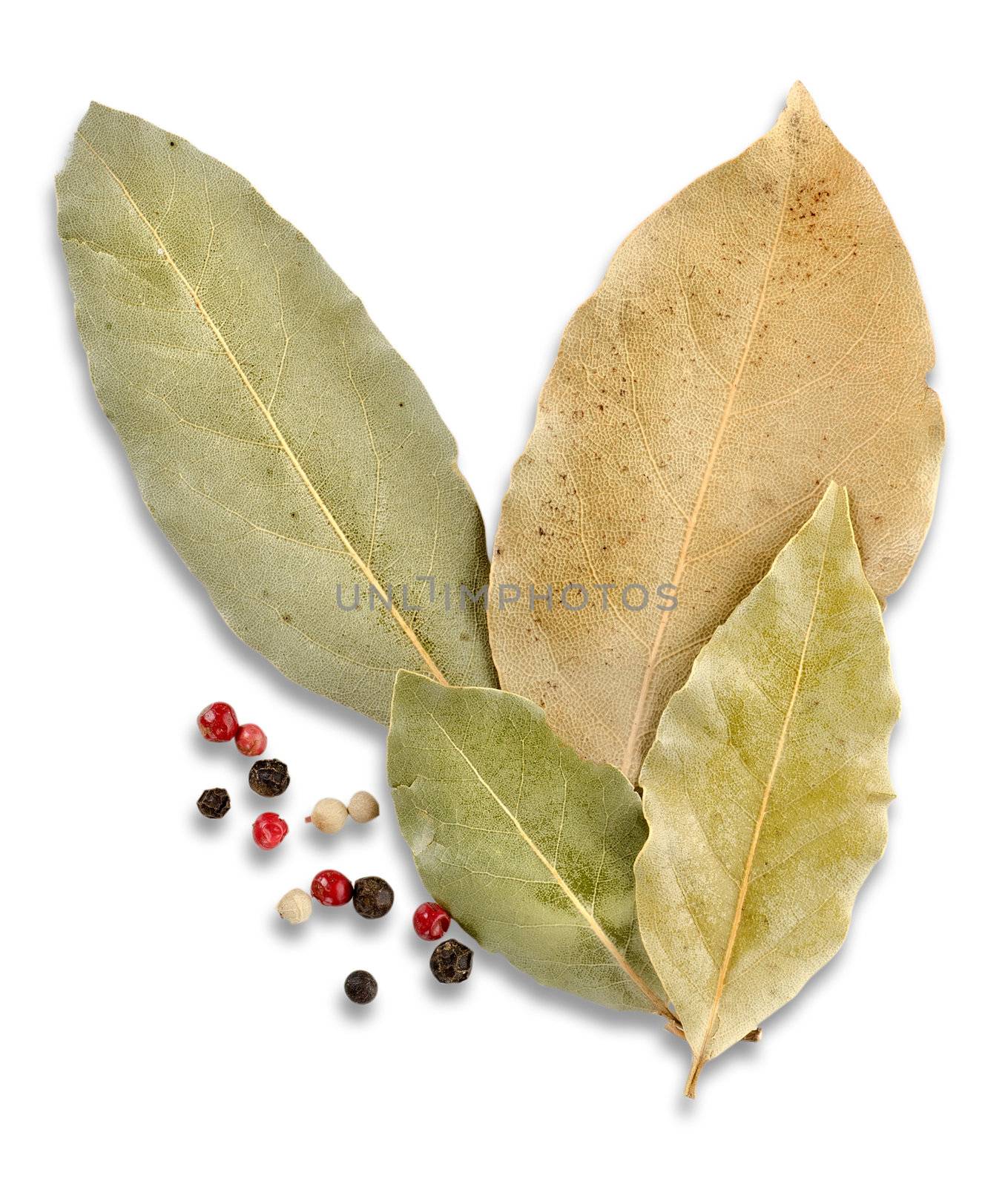 Bay leaves and spices isolated on white background
