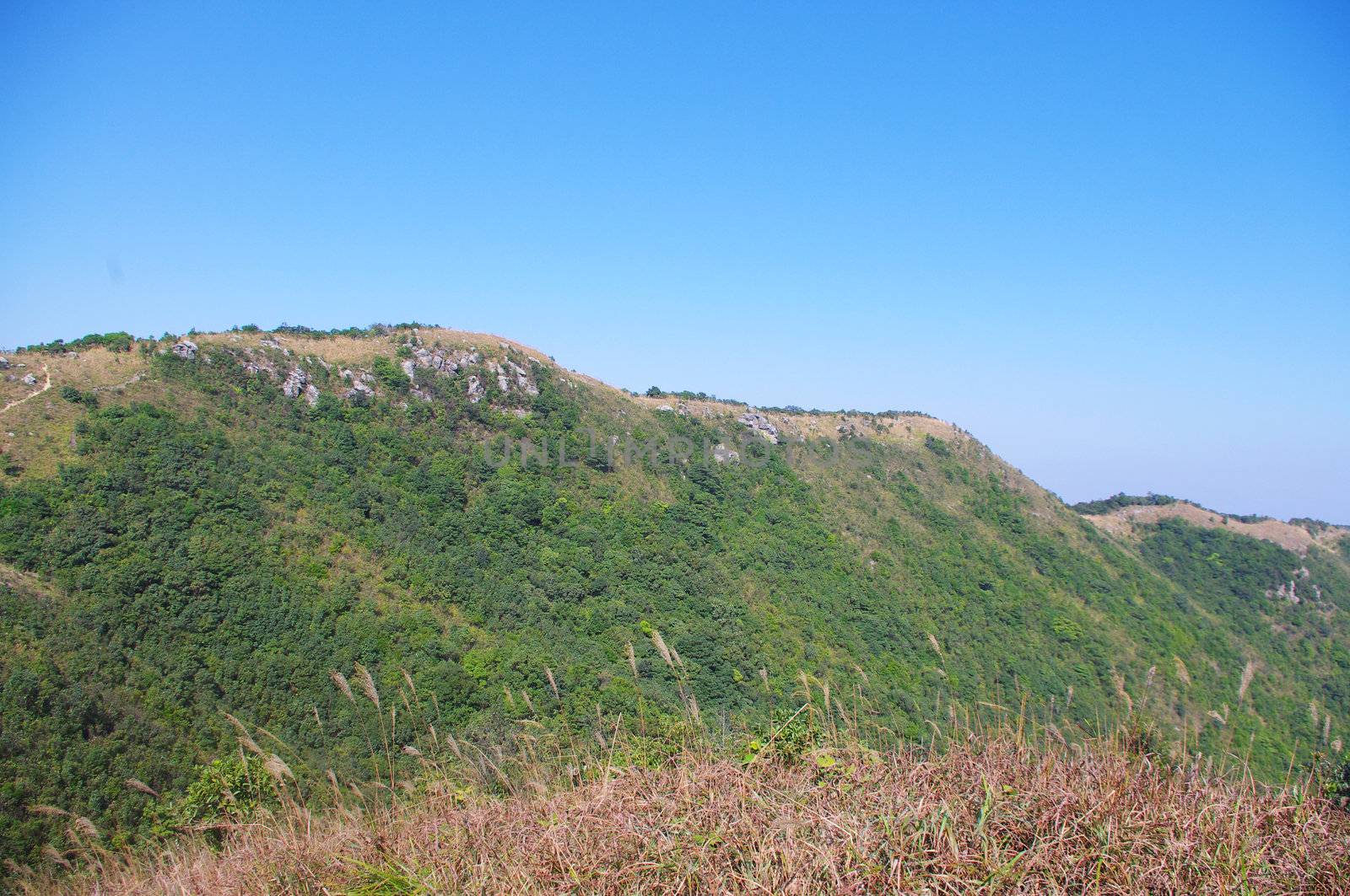 viewing the nailing ridge of china at summer