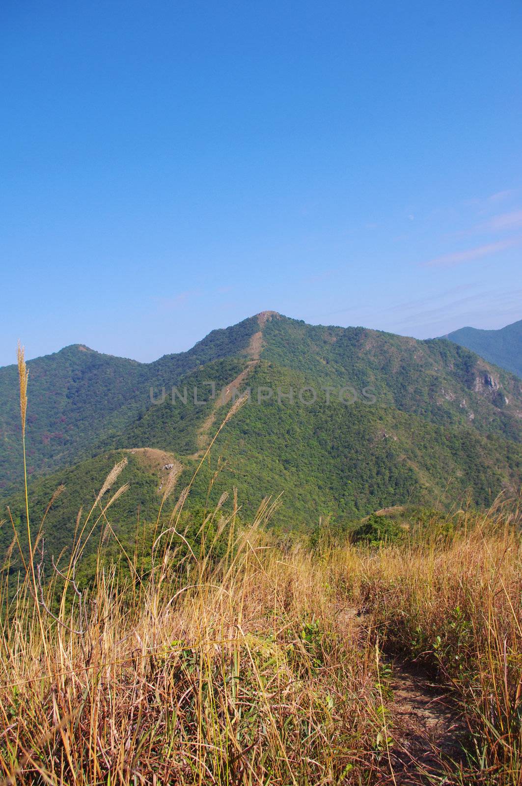 viewing the nailing ridge of china at summer