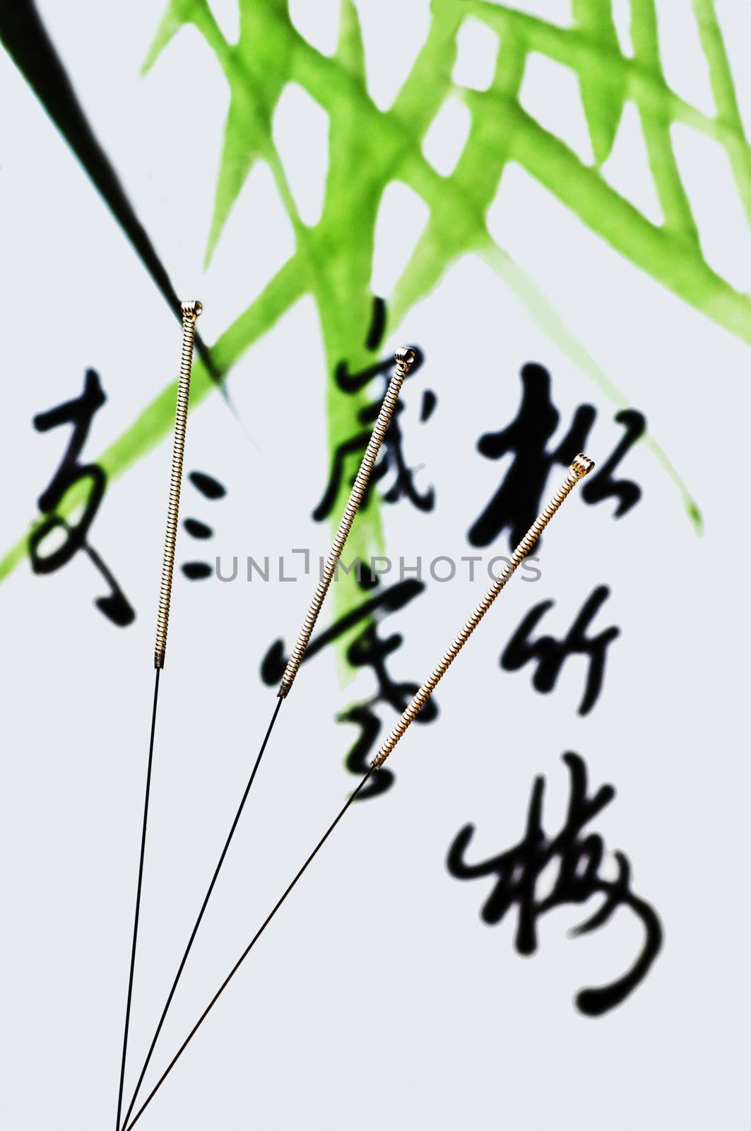 acupuncture needle