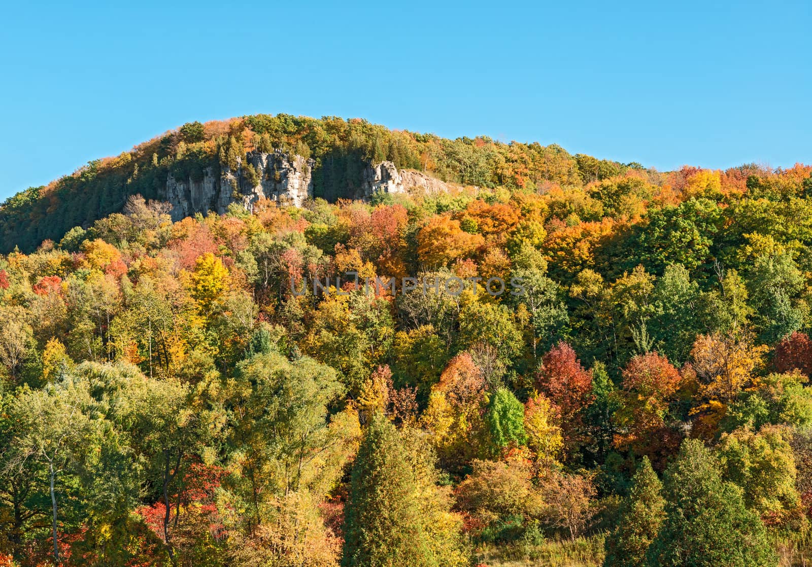 Kelso / Glen Eden Conservation Area in Milton fall colours at  old growth forests on top of the escarpment