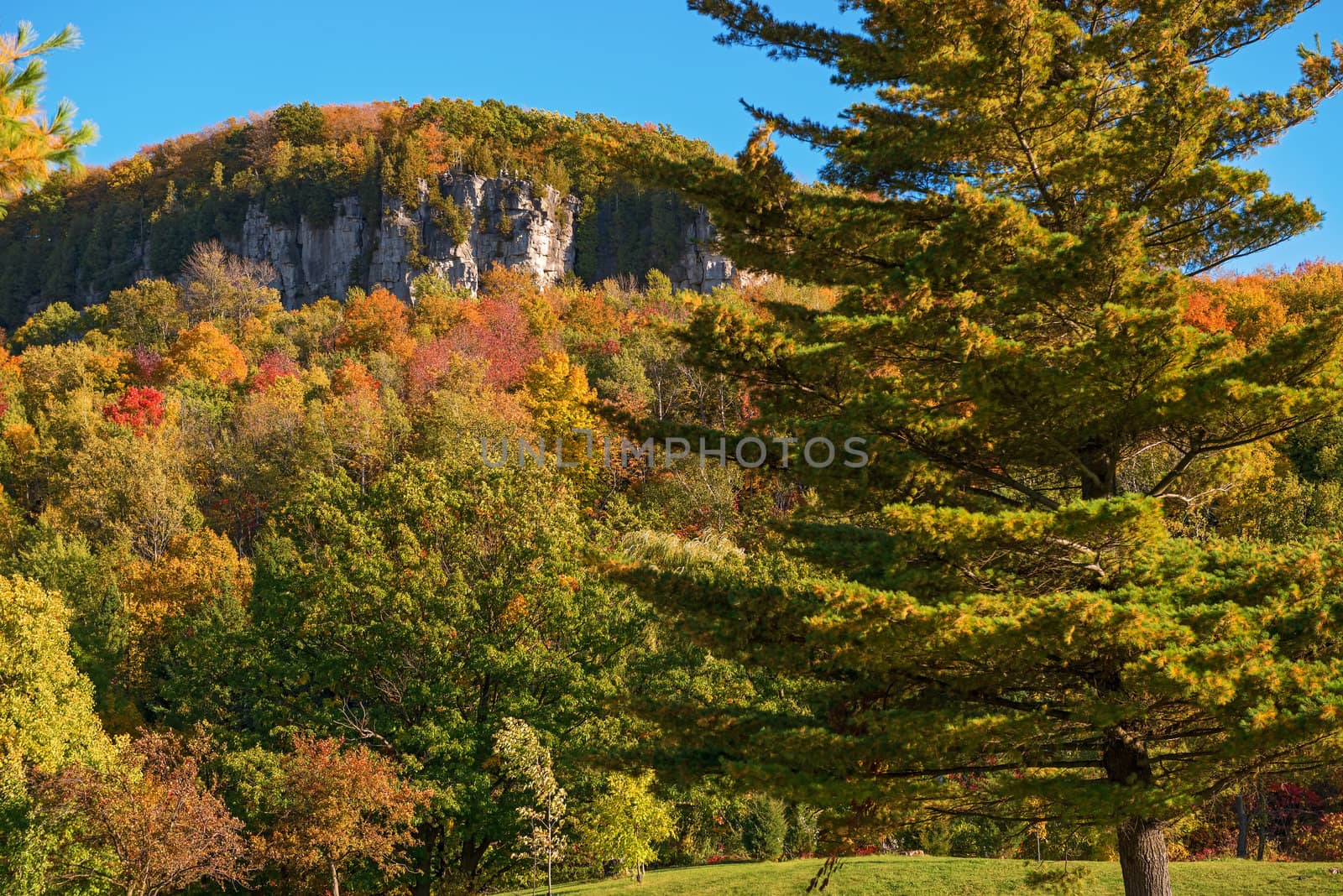 Kelso / Glen Eden Conservation Area in Milton fall colours at  old growth forests on top of the escarpment