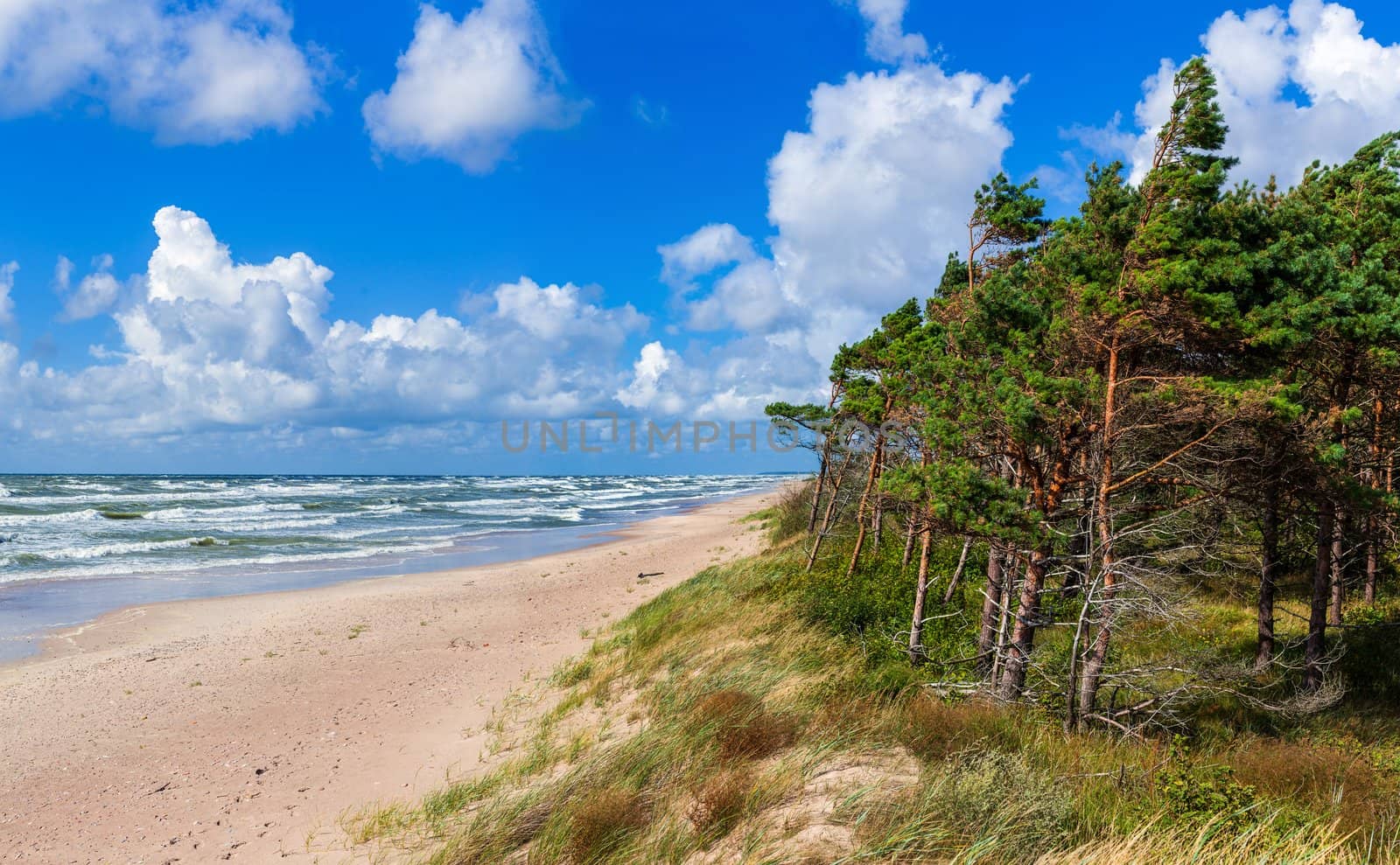 Panorama of the beautiful scenic view of storm Baltic sea, Palanga