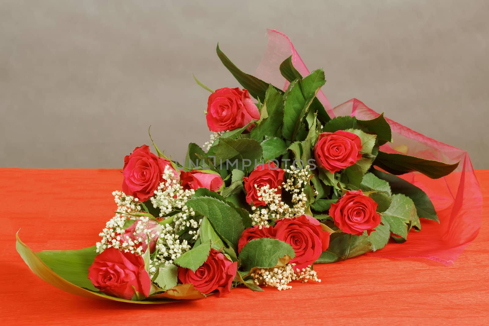 Bouquet of fresh red roses on gray background, with space for copy in the side