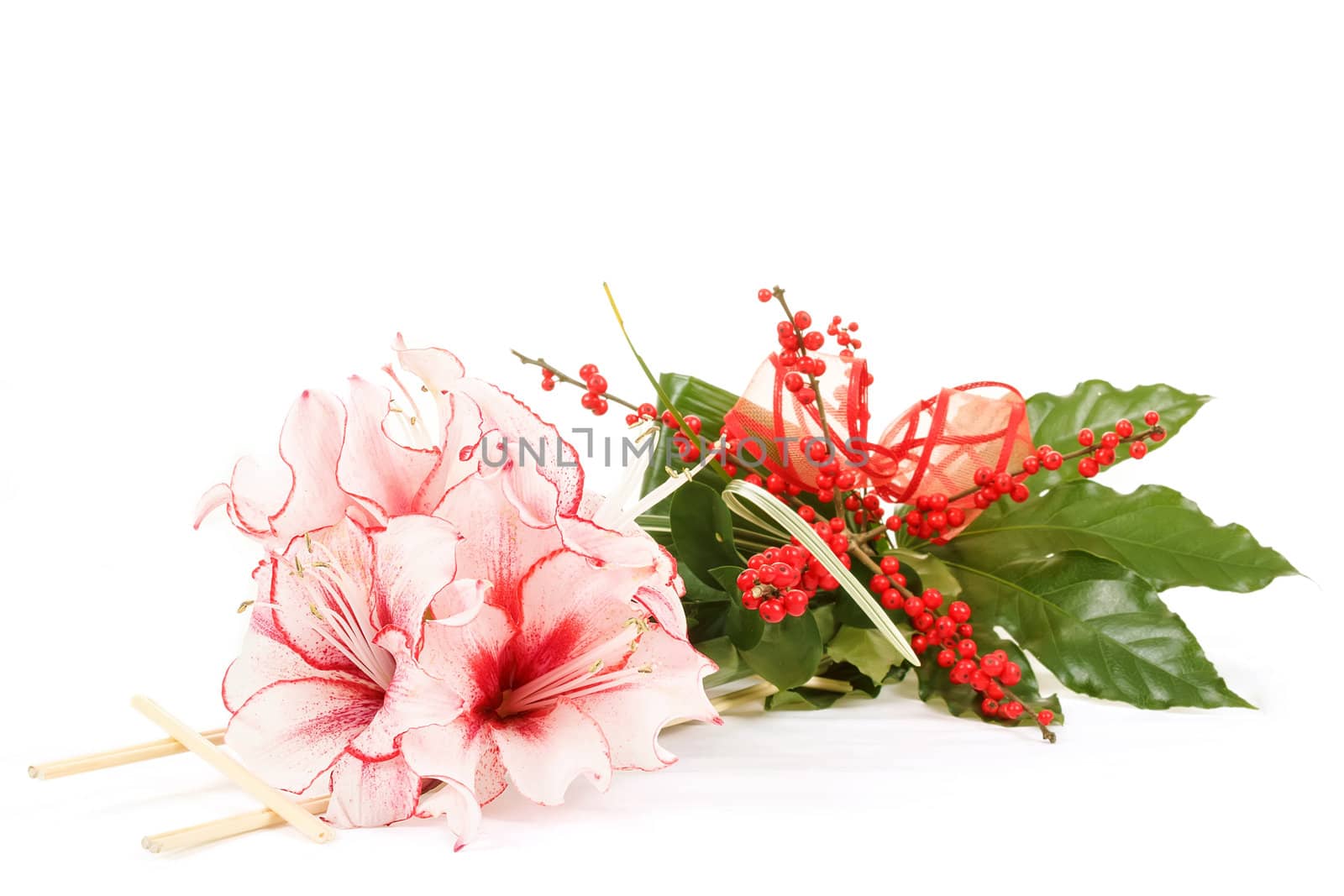 bouquet of pink lily flower on white background
