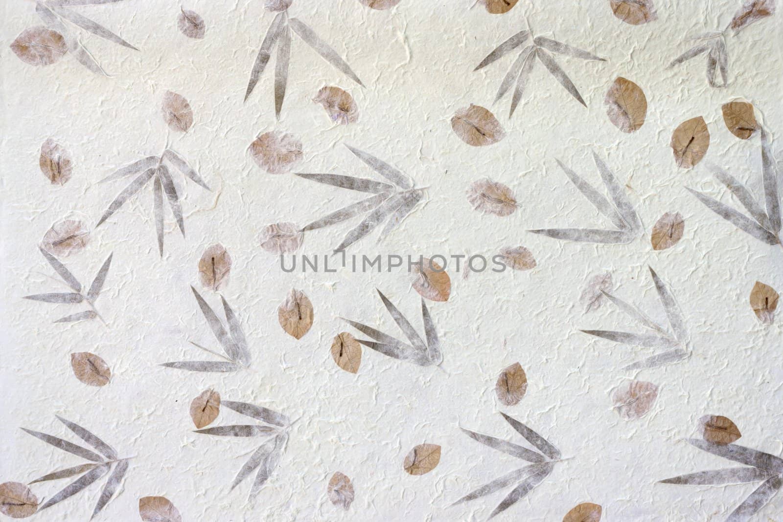 Mulberry paper with brown flower texture background.