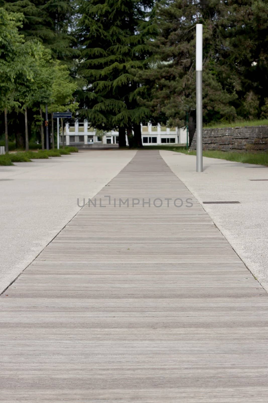 Wood path way in France.