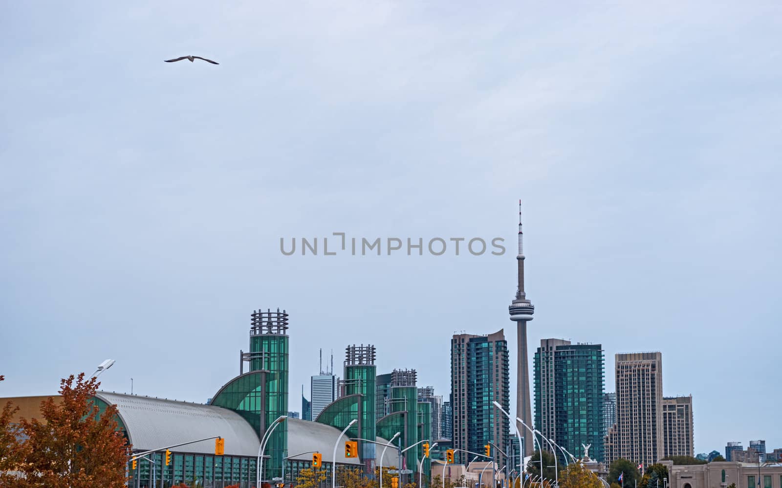 Wide angle photo of Toronto skyline and the convention centre at Exhibition Place