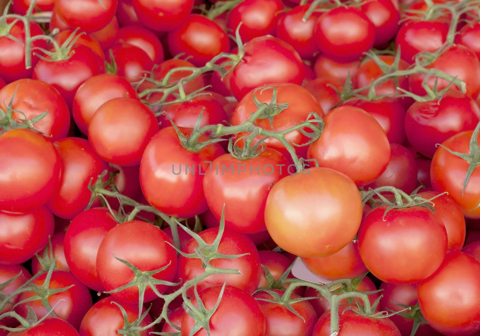 Tomato background in the market of France.