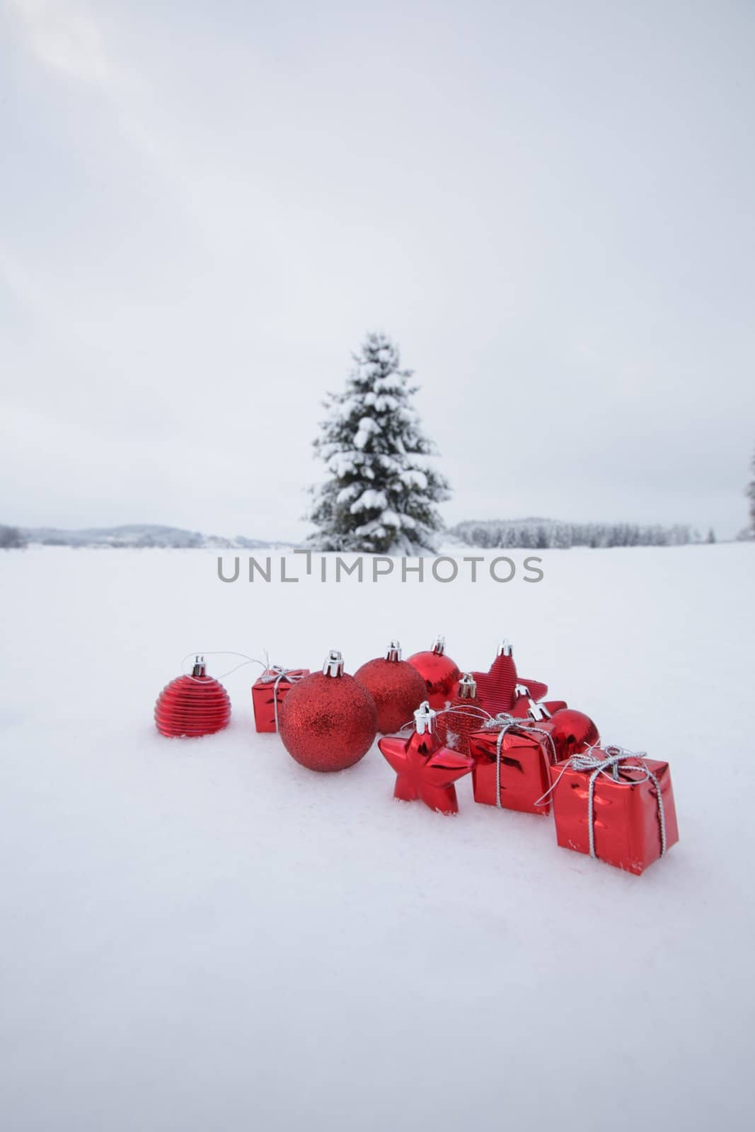 Christmas decoration outside in a snowy landscape