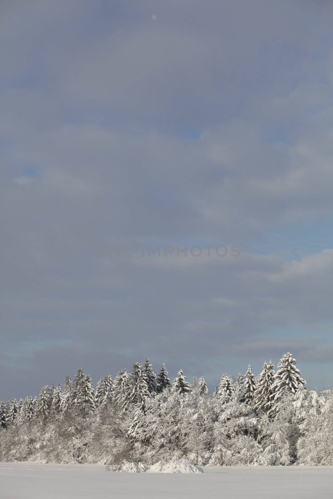 snow landscape winter by yucas