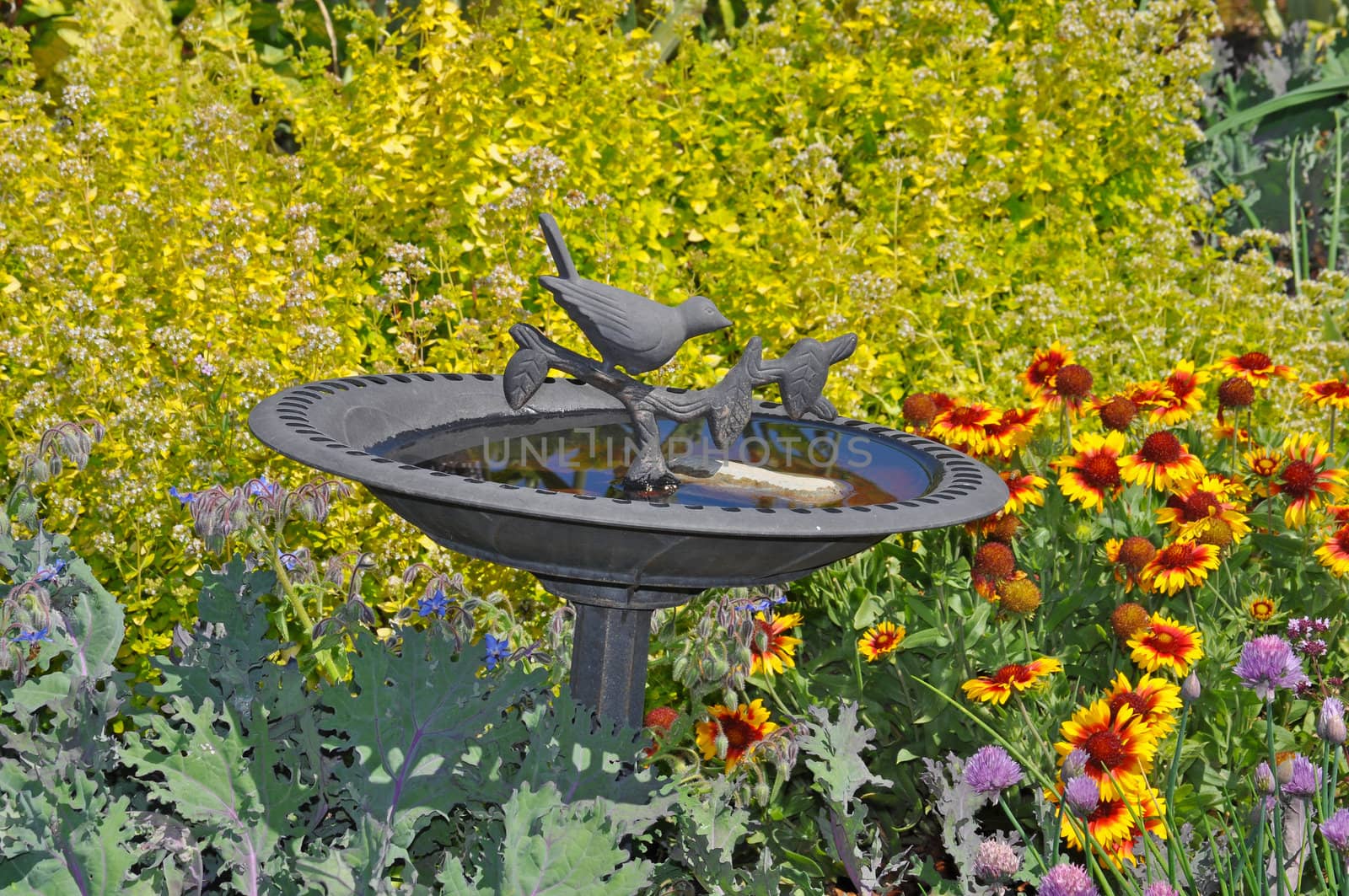 Decorative birdbath in summer garden