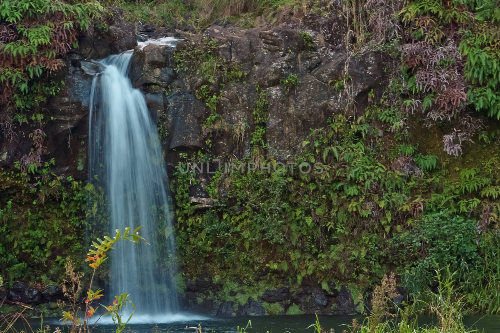 Maui waterfall off the road to Hana by Marcus