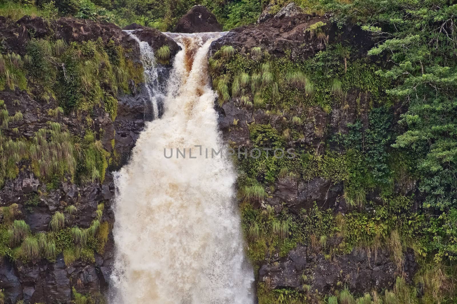 The Akaka Falls on Big Island of Hawaii are one of the most beautiful waterfalls of the world