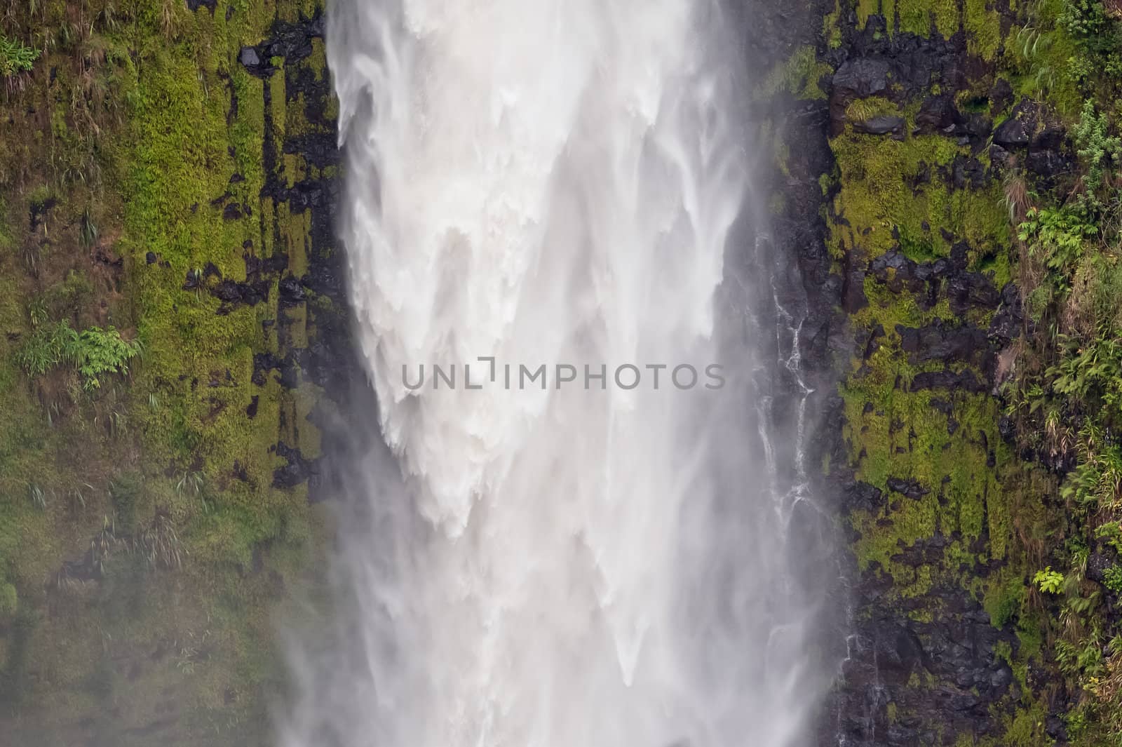 The Akaka Falls on Big Island of Hawaii are one of the most beautiful waterfalls of the world