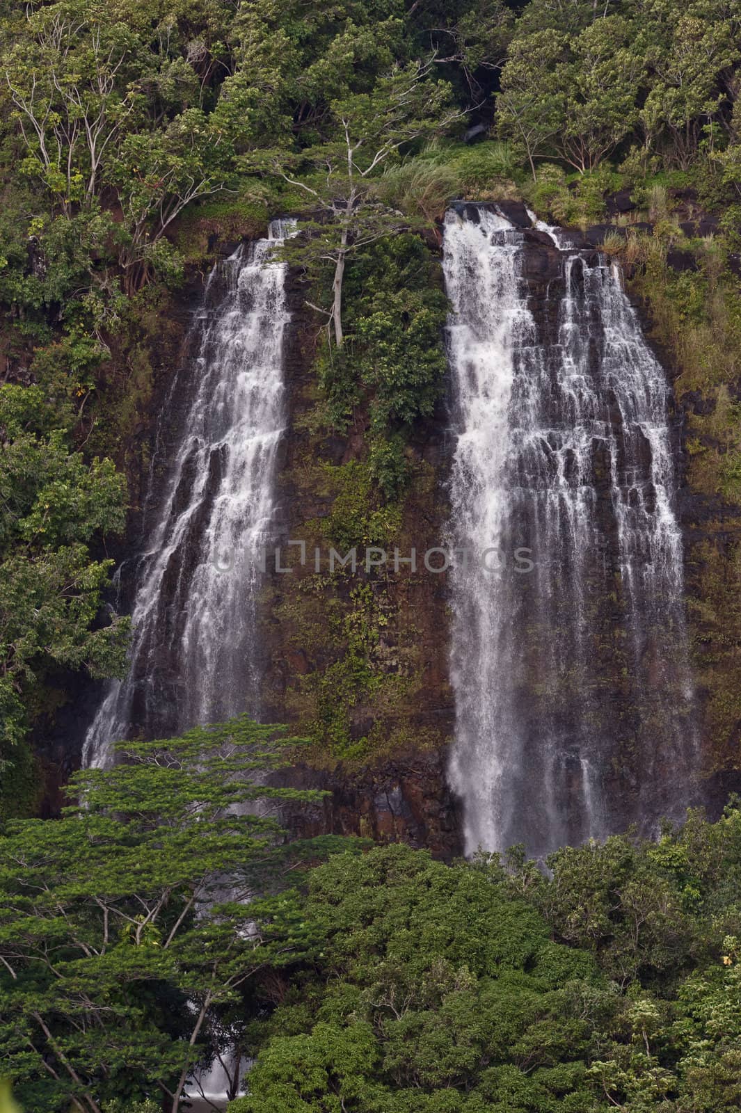 'Opaeka'a Falls on the island of Kauai, Hawaii.