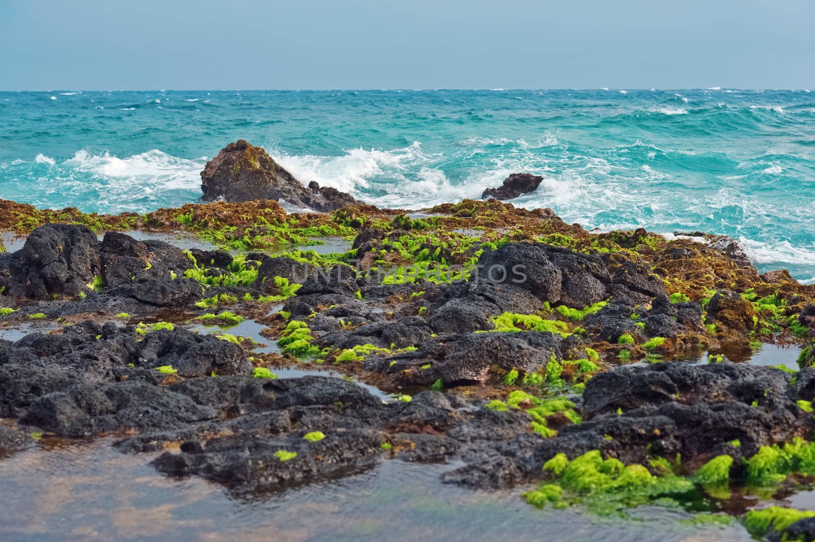 Breaking waves Against The Rocky Shore Of Maui, Hawaii Islands, USA