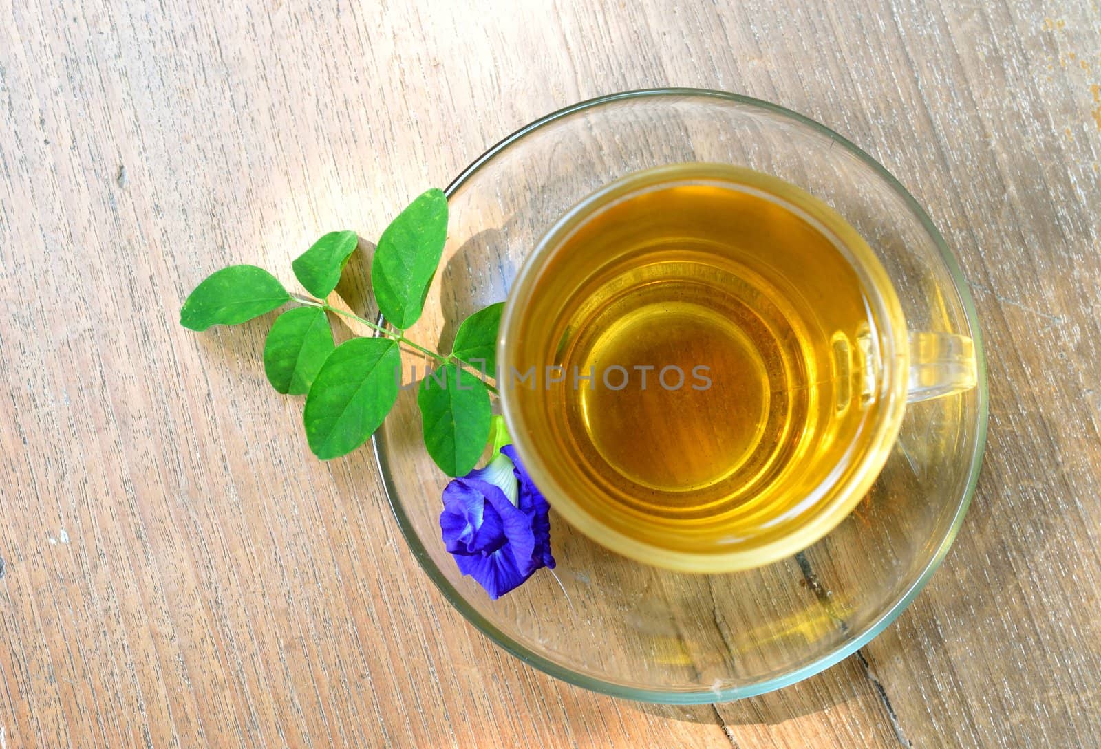 Cup of tea and purple flower on wood background.
