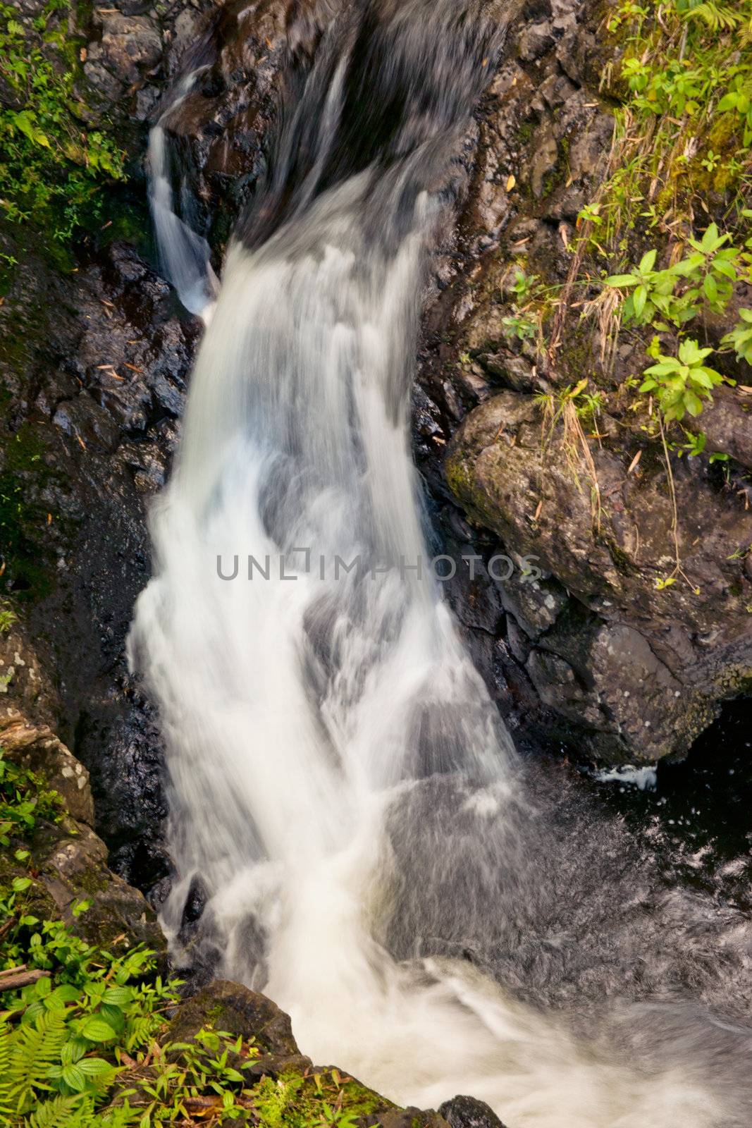 Waterfall in the Heleakala National Park in Hawai by Marcus