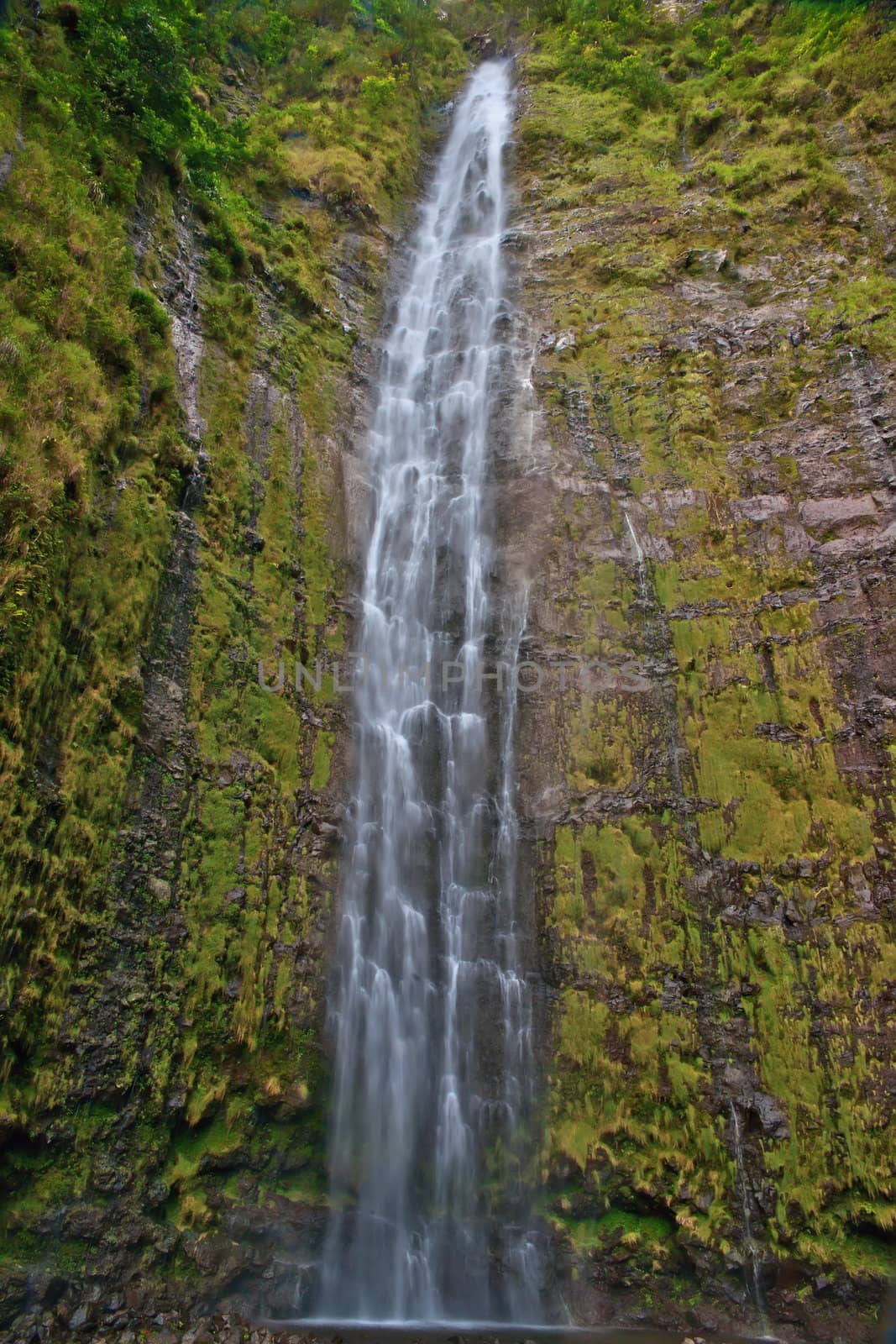 The Waimoku falls are at the end of the popular Waimoku Falls Trail on Maui Hawaii and about 120 meter tall.
