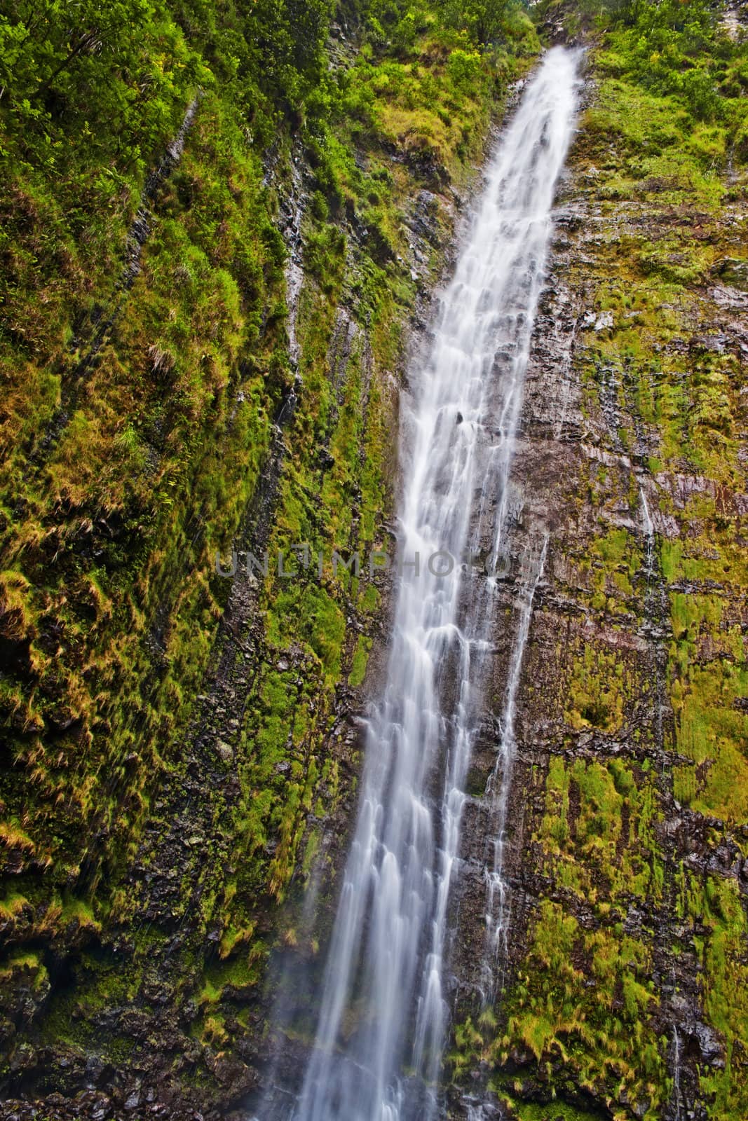 The Waimoku falls are at the end of the popular Waimoku Falls Trail on Maui Hawaii and about 120 meter tall.
