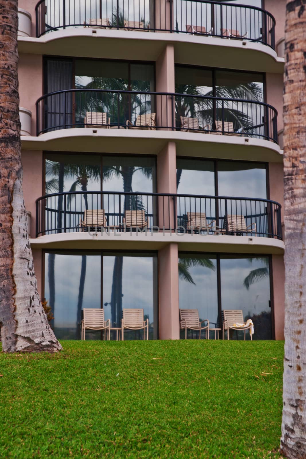 palm trees in front of a tropical resort hotel in Kona by Marcus