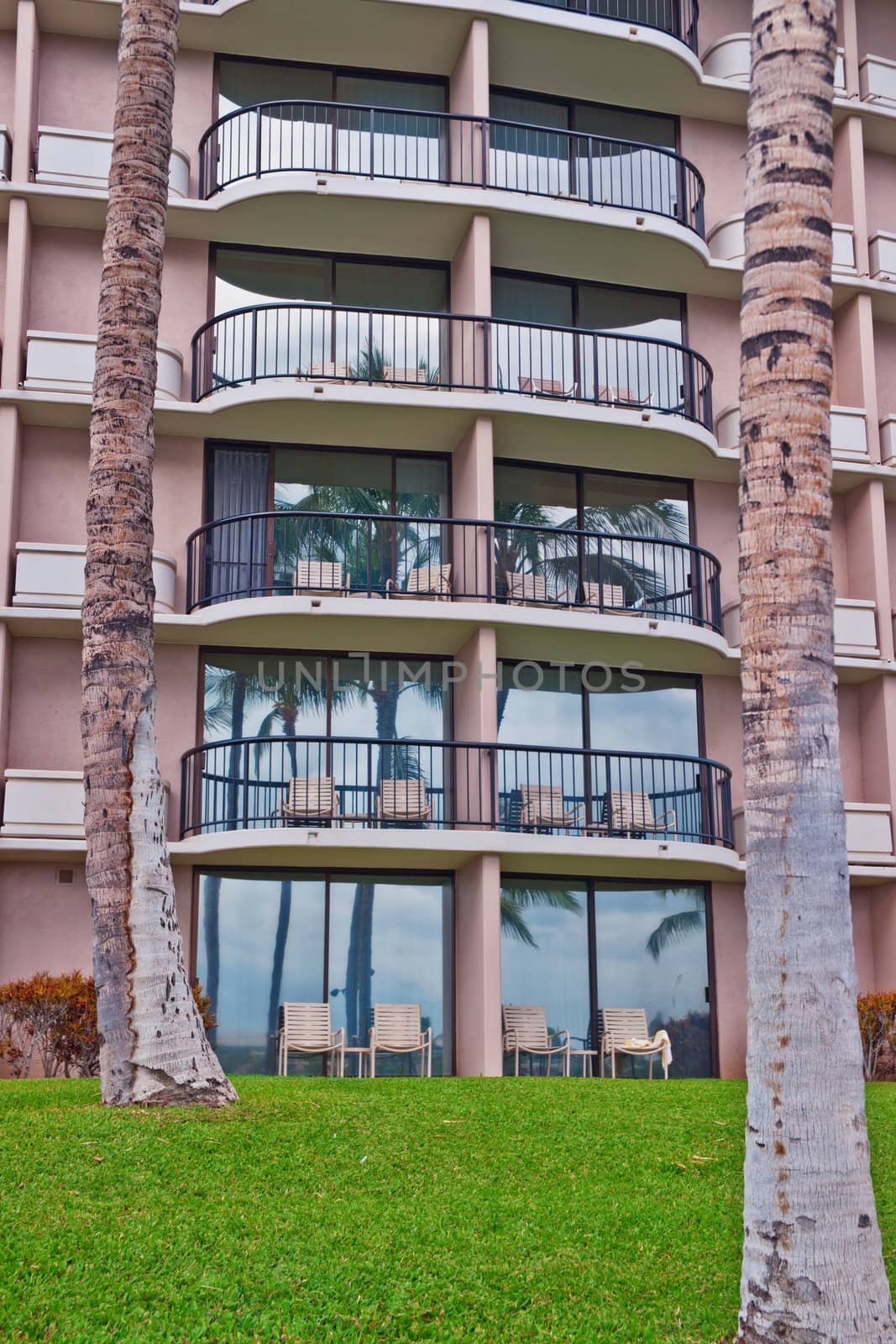 palm trees in front of a tropical hotel in Big Island Hawai by Marcus