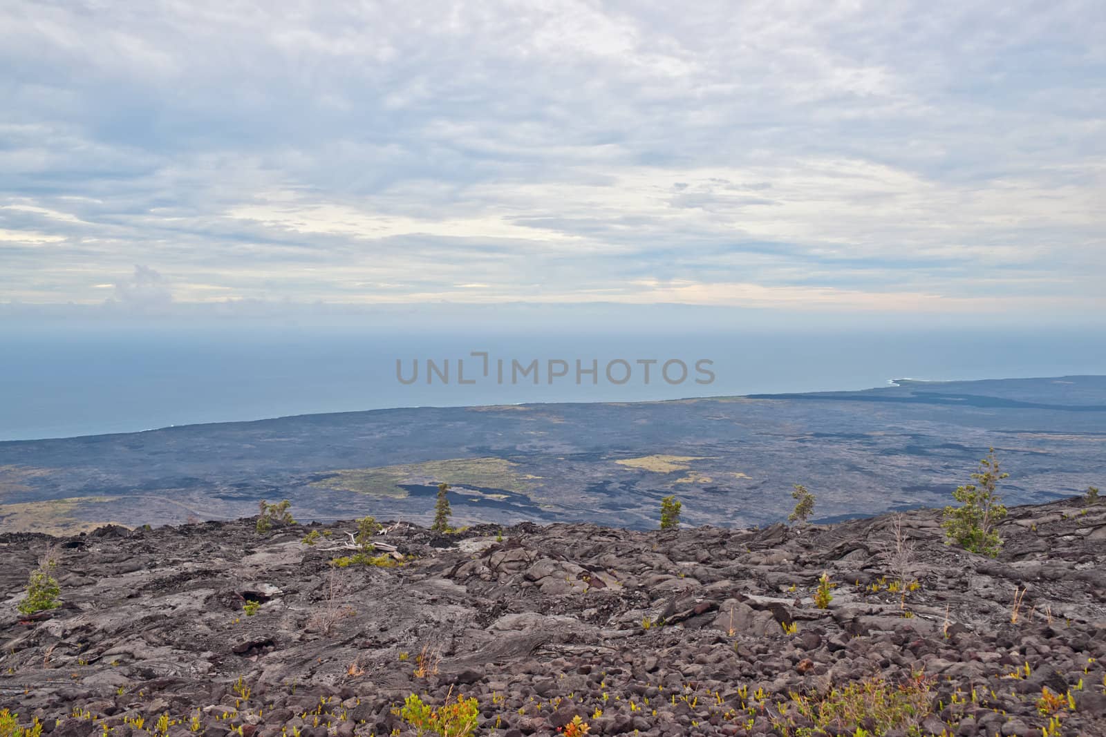 Solidified Cracked Lava Flow in Volcano, volcanic landscape when driving Chain of craters road in Big Island Hawaii