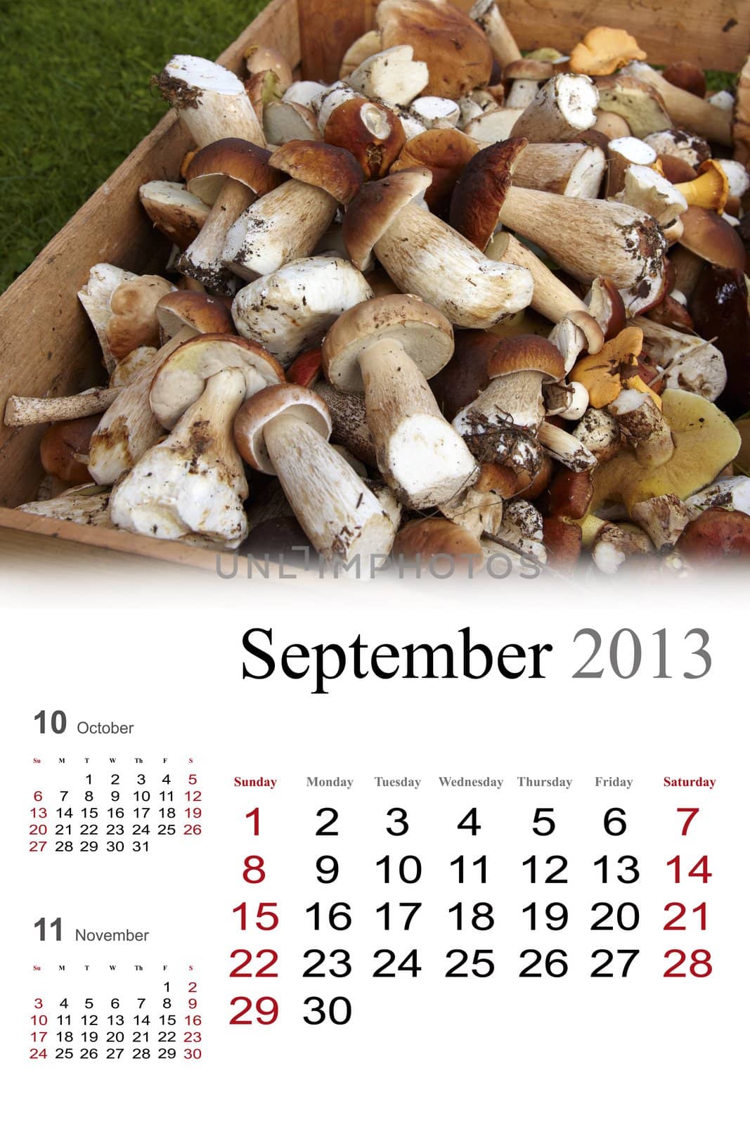 2013 Calendar. September. Golden autumn colors
