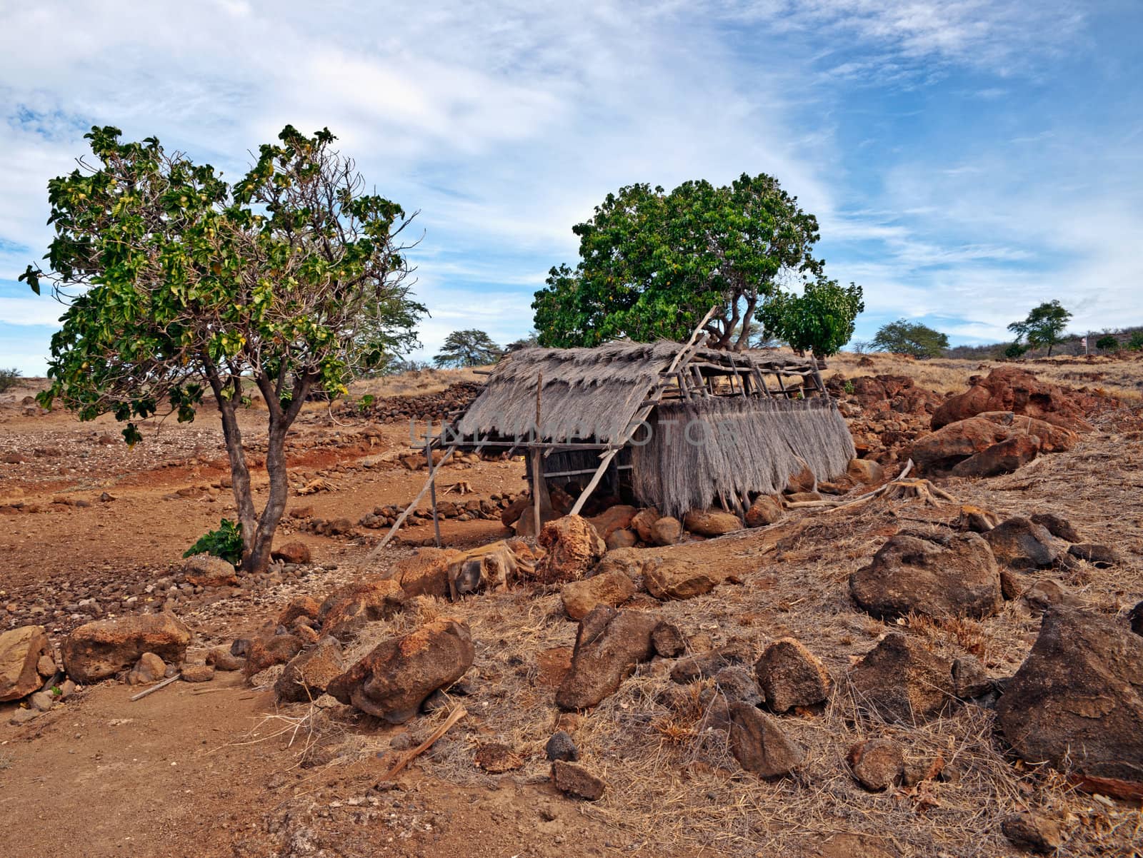  Puukohola Heiau The National Historic site of the Kohala coast in Hawaii Big Island. Heiau were sacred places of worship for Native Hawaiians; and Puukohola Heiau was a site built to fulfill a historic prophecy.