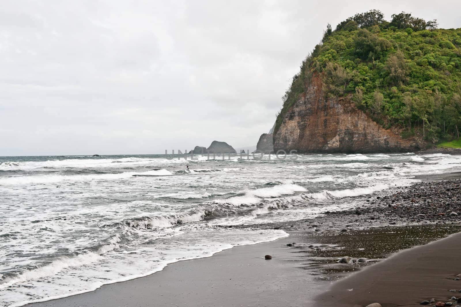 Pololu Beach on the Big Island of Hawaii. Passing the 28 mile marker on Highway 270 past Hawi it is a breathtaking view of Polulu Valley. It's a 30 minute hike over rough ground. But worth it