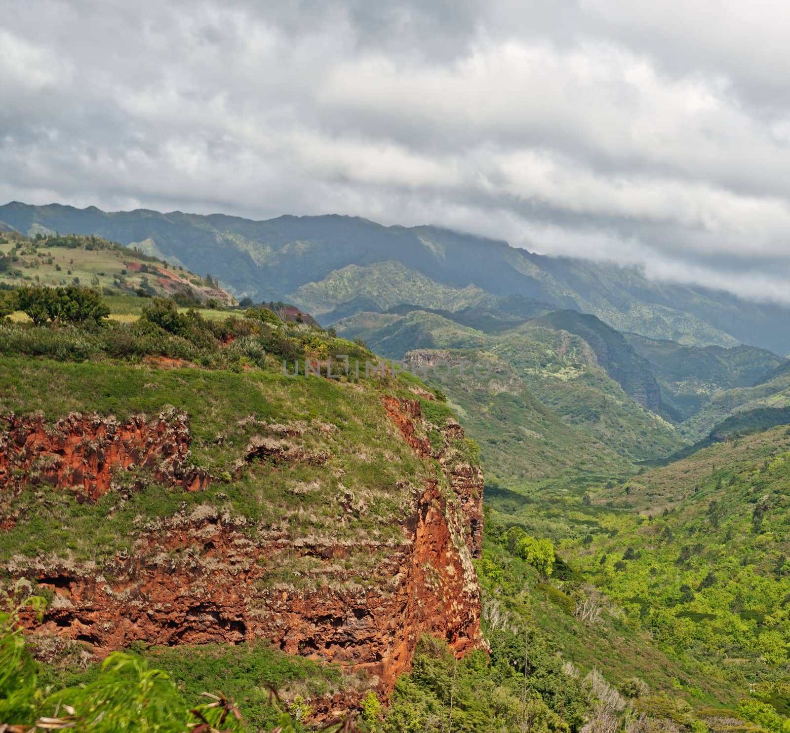 View into the Waimea Canyon on Kauai, Hawaii (the "Grand Canyon of the Pacific")
