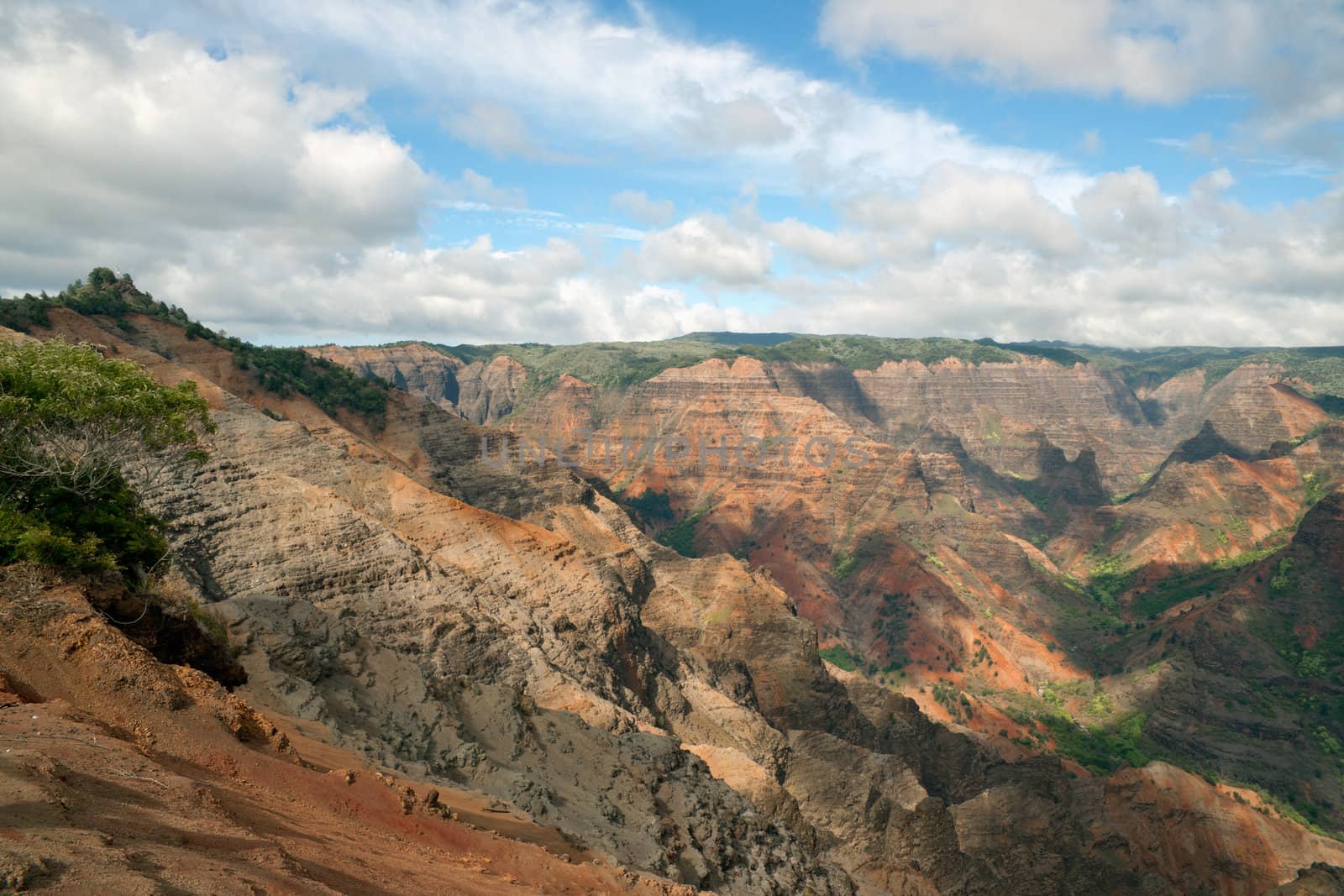 View into the Waimea Canyon on Kauai, Hawaii (the "Grand Canyon of the Pacific")
