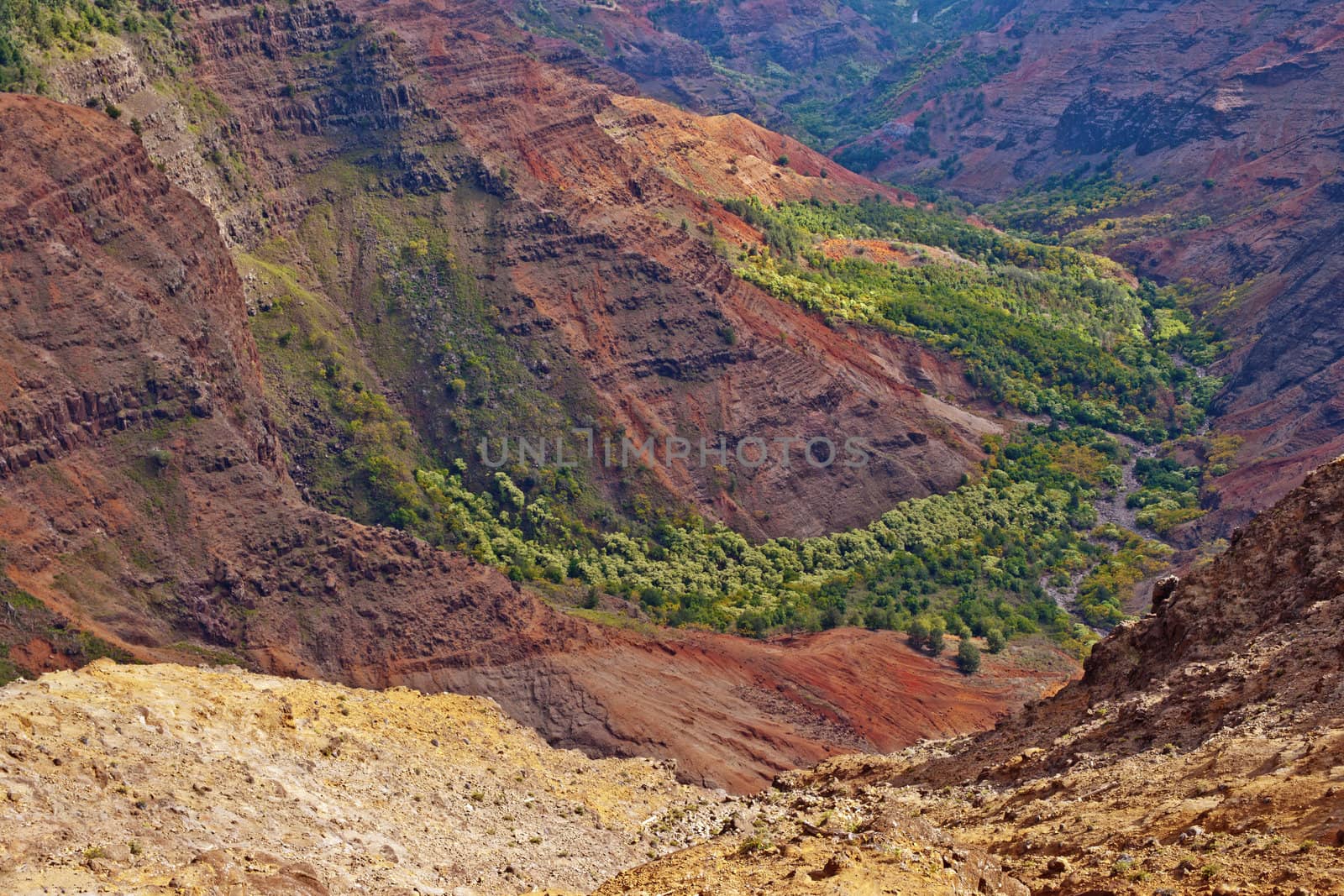 View into the Waimea Canyon on Kauai, Hawaii (the "Grand Canyon of the Pacific")
