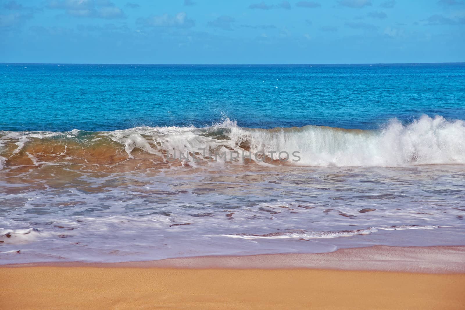 Wave Power Pacific Ocean in Kauai Island Hawaii
