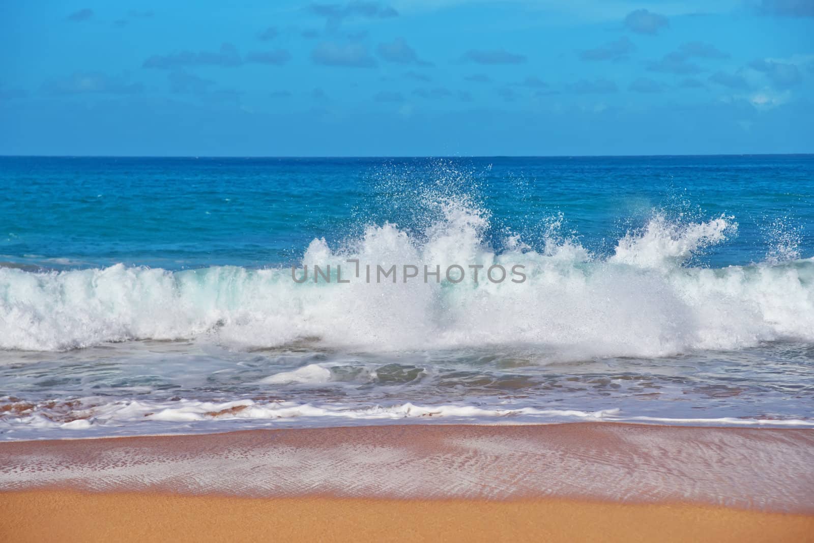 Wave Power Pacific Ocean in Kauai Island Hawaii
