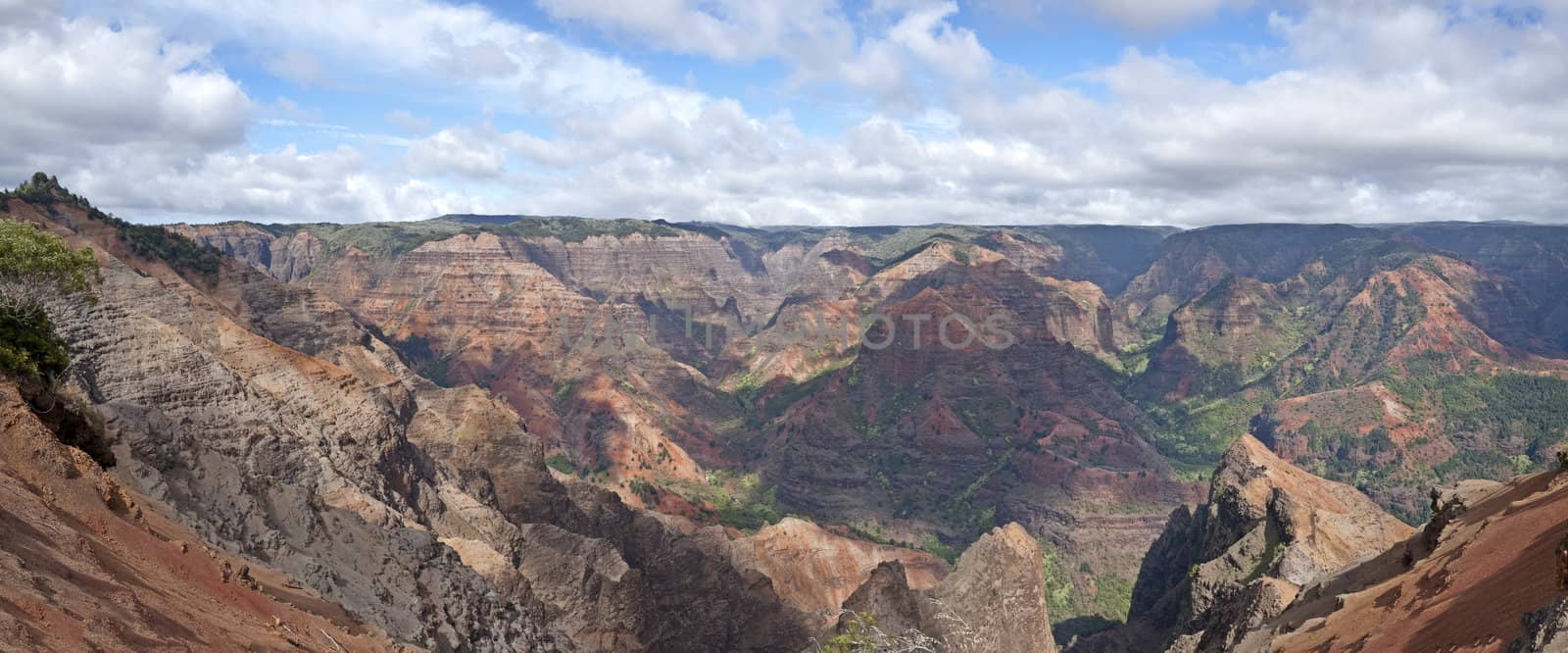 View into the Waimea Canyon on Kauai, Hawaii (the "Grand Canyon of the Pacific")