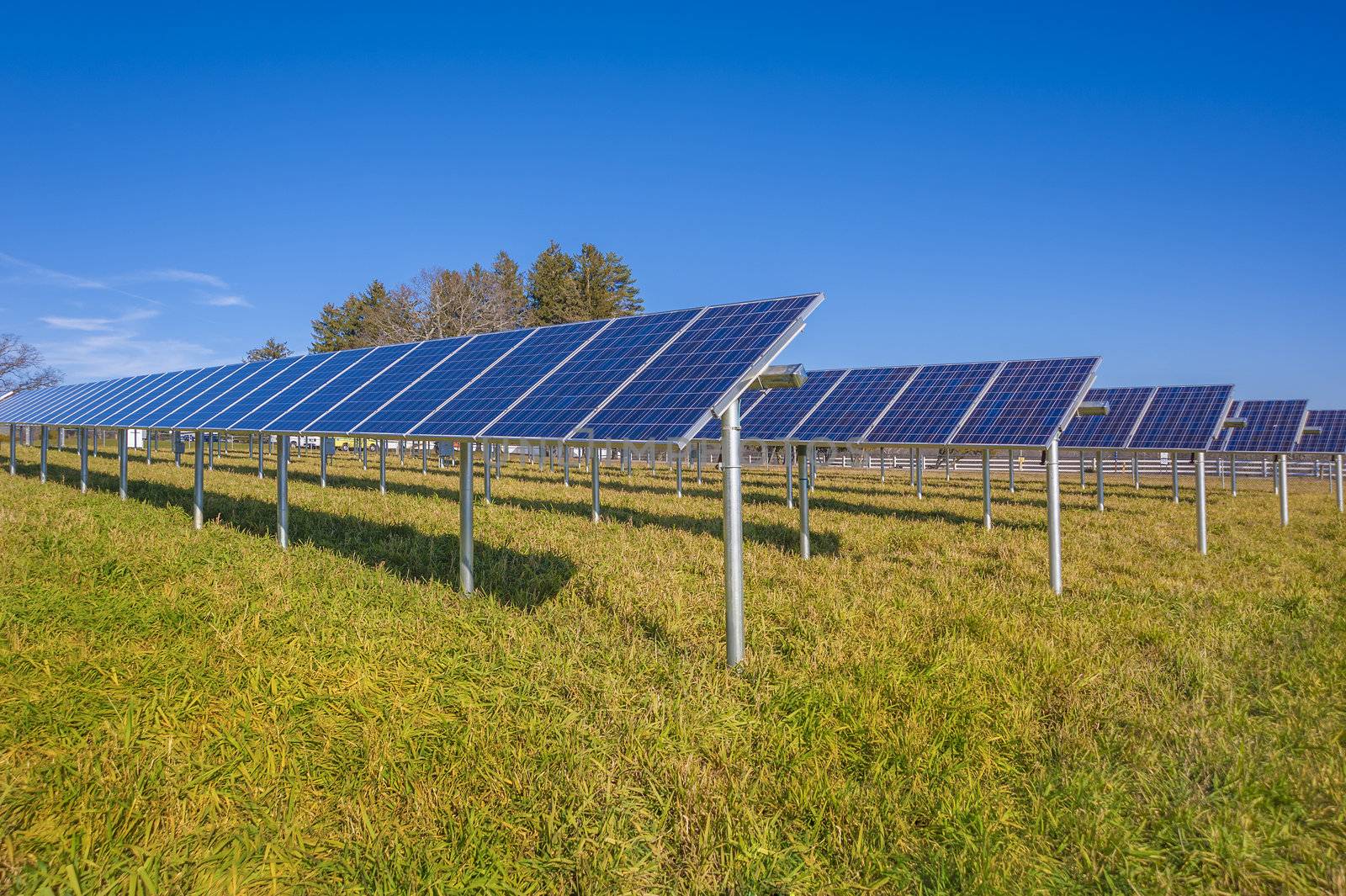 Solar panels in field with blue sky